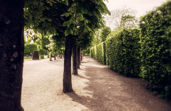 Vienna's Hidden Treasures: Secret Botanical Gems Blooming with Inspirations - SimCorner®