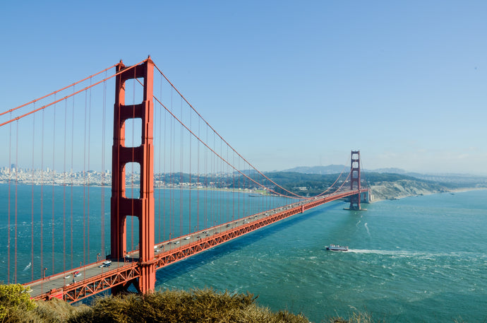 Exploring the Best Sights, Activities, and Food in San Francisco
