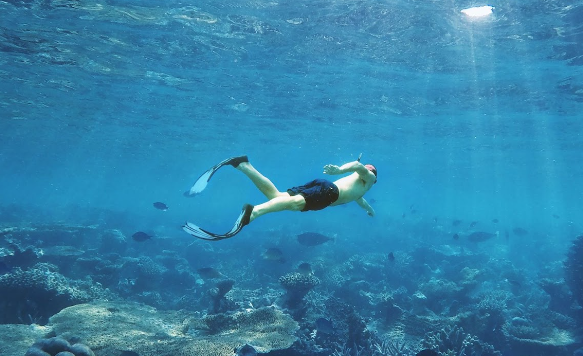 Exploring the Best Snorkelling Spots for Novice Explorers in the Maldives