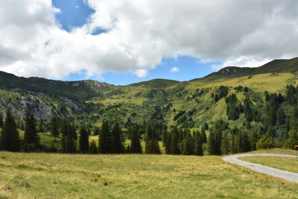 Exploring the Beauty: Family-Friendly Alpine Routes with Spectacular Views