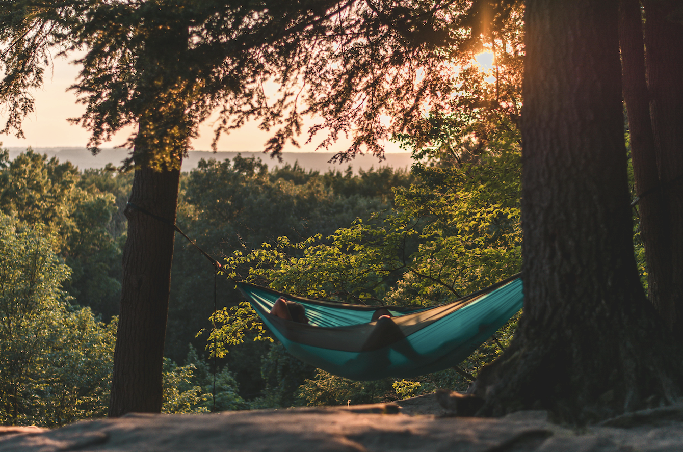 Top Travel Trends to Watch in 2025