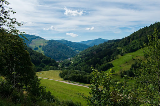 Unveiling the Magic: Seasonal Activities on Family-Friendly Hiking Paths in the Black Forest