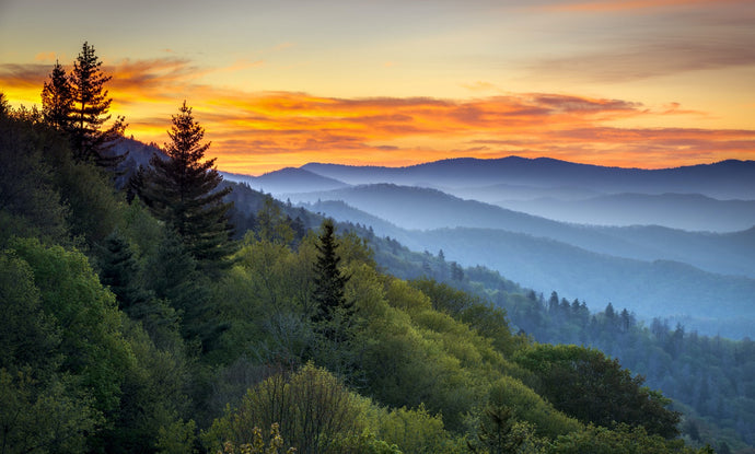 The Best National Parks to Visit in the Eastern USA: From the Great Smoky Mountains to Acadia