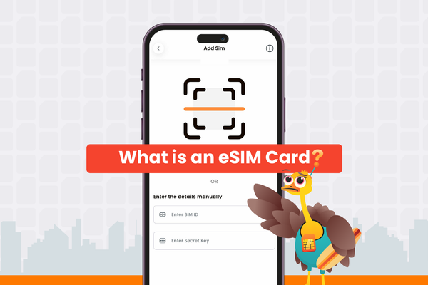 What is an eSIM Card and How Do eSIMs Work?