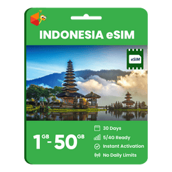 Indonesia Data eSIM