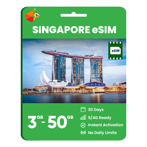 Singapore Data eSIM