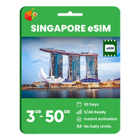 Thumbnail for Singapore Data eSIM
