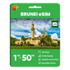 Brunei Data eSIM