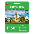 Brunei Data eSIM