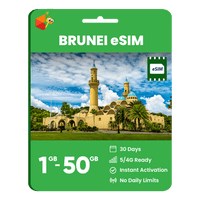 Thumbnail for Brunei Data eSIM - SimCorner