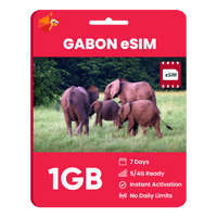Thumbnail for Gabon Data eSIM - SimCorner