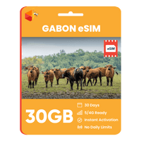Thumbnail for Gabon Data eSIM - SimCorner